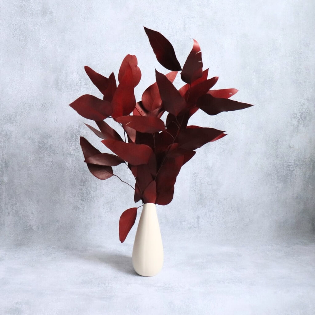 Stabilizovaný Eucalyptus Willow červený – přírodní dekorace do aranžmá